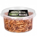 Terrario Repti Bites Mealworms 250ml - dried mealworm larvae